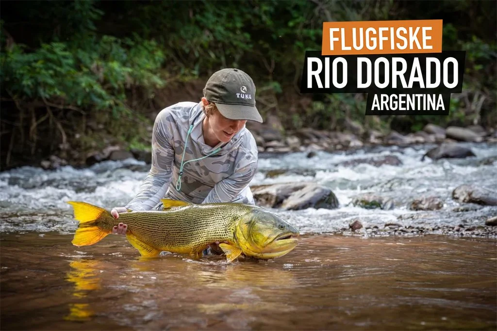 Fiskeresa Rio Dorado – golden dorado i Argentinas vilda floder
