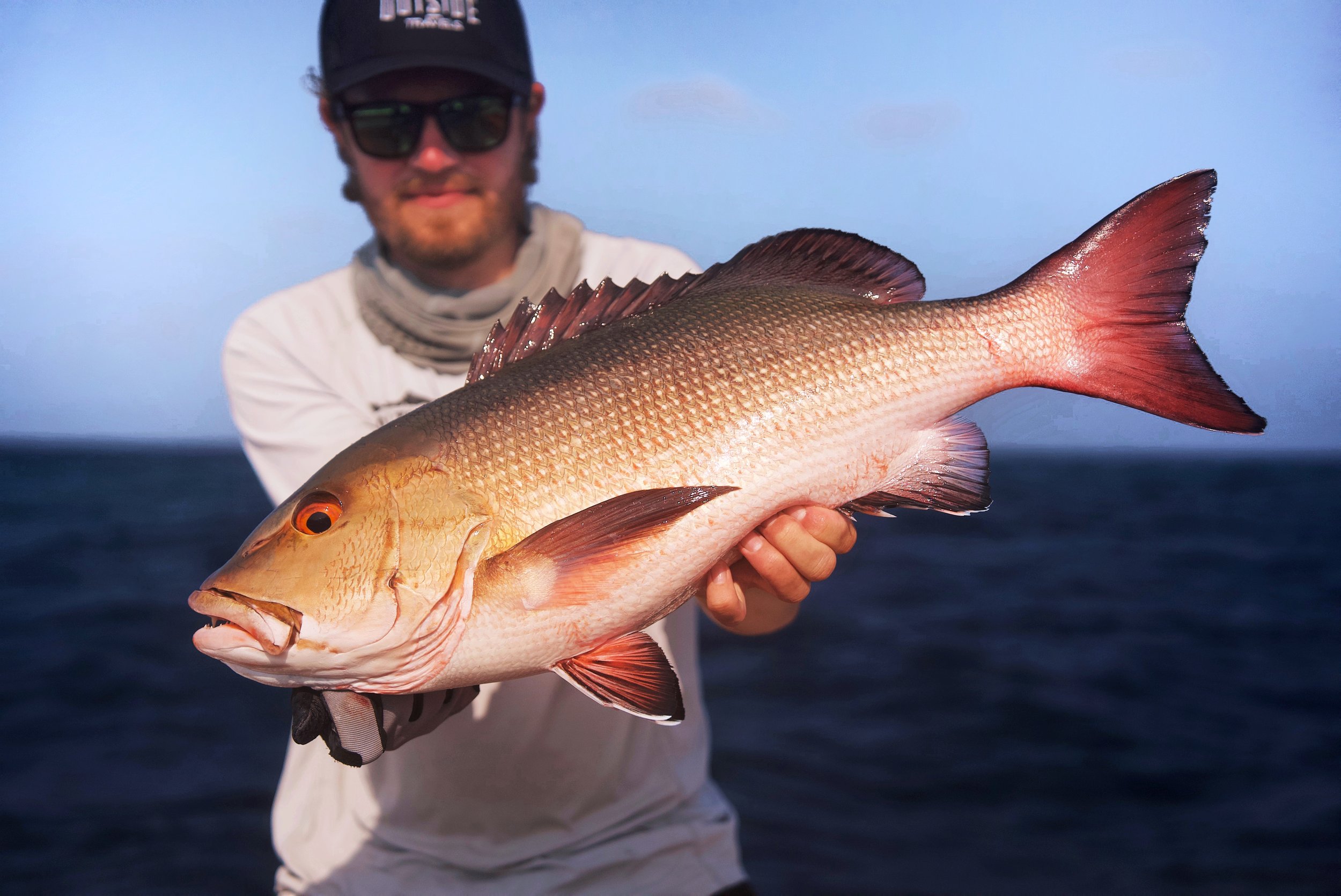 Red snapper maldives.jpeg