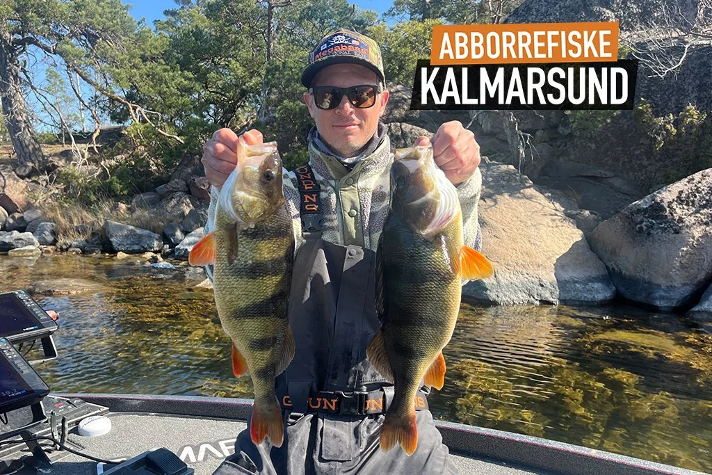 Abborrefiske-Kalmarsund.jpg