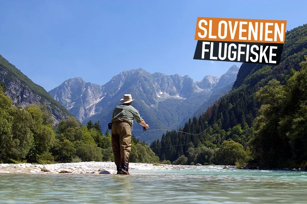Flugfiske i Sloveniens kristallklara älvar
