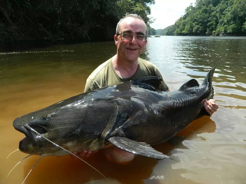 mal amazonas mete..jpg