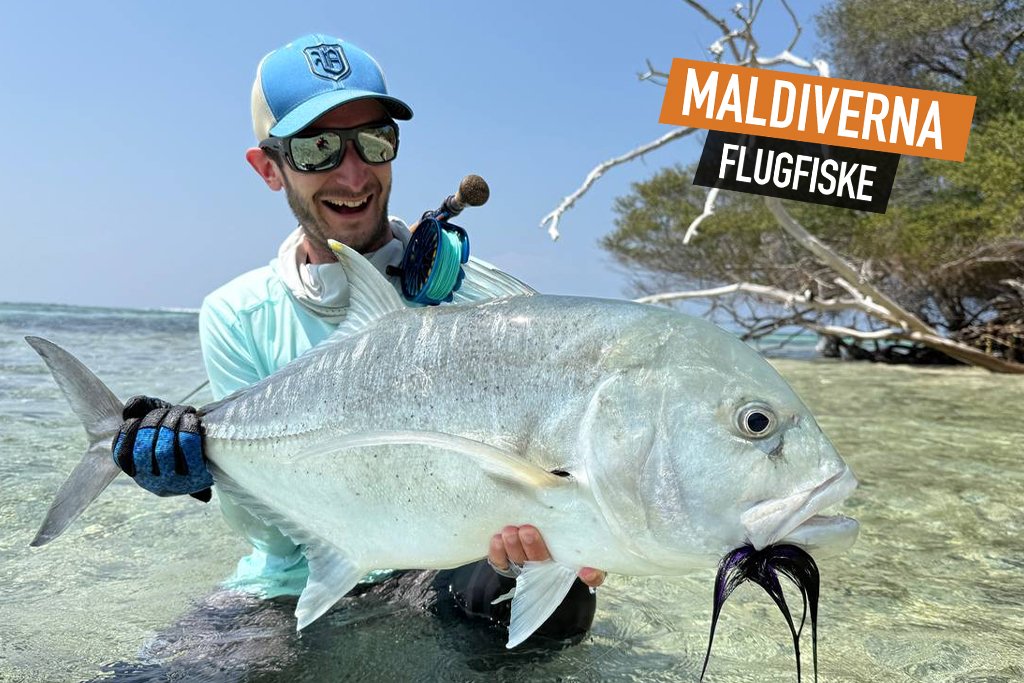 Maldiverna-flugfiske.jpg
