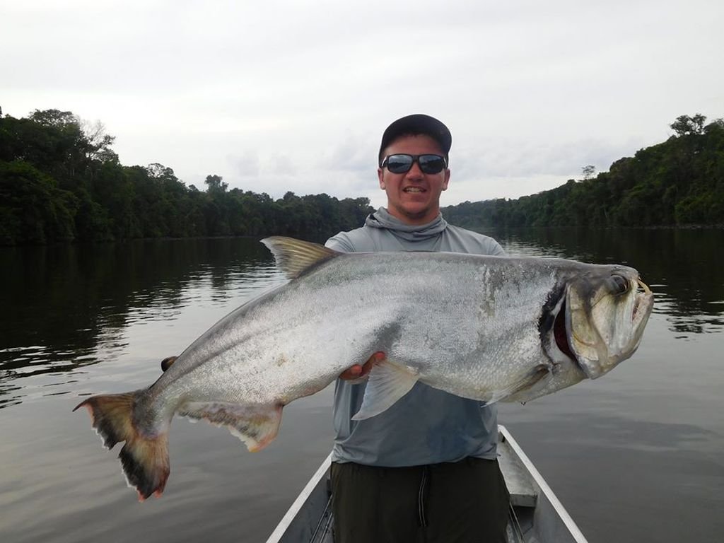 Payara fiskeresa guyana.jpg