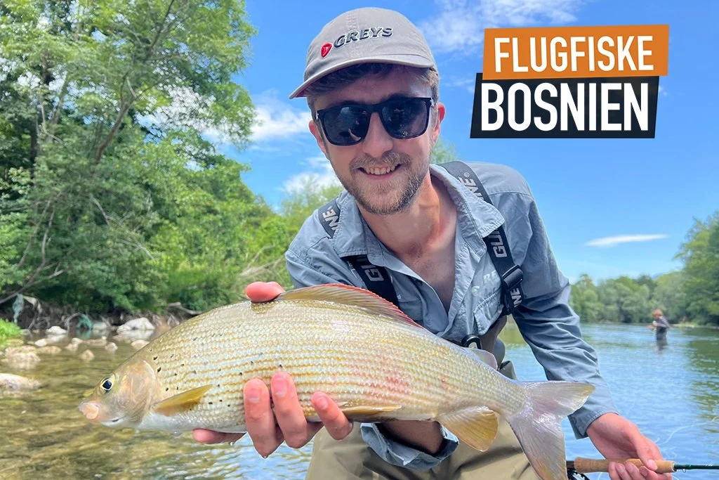Flugfiske i Bosnien efter öring och harr