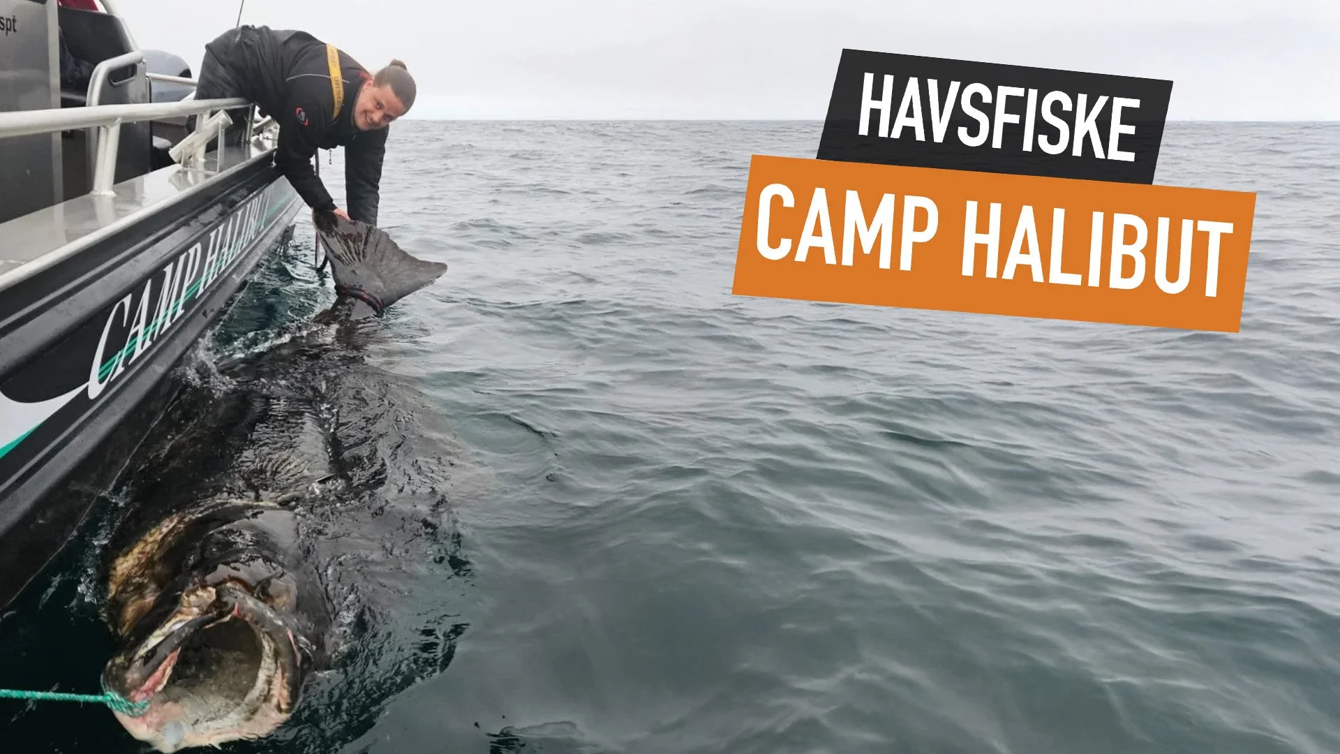 "Fiskeresa till Norges Camp Halibut på Sørøya med stor hälleflundra och förstklassigt havsfiske."