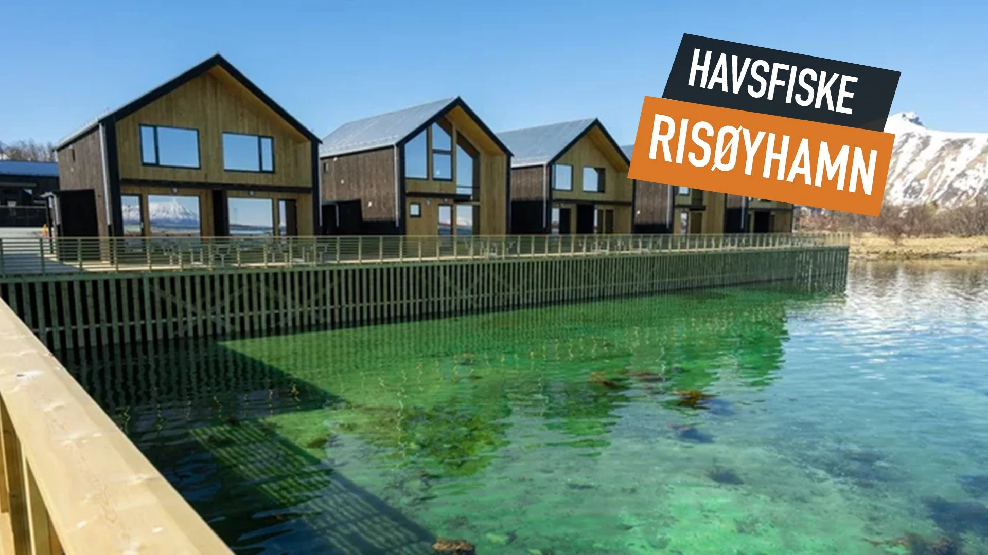 Fiskeresa till Risøyhamn Sjøhus i Vesterålen, Nordnorge – havsfiske efter hälleflundra, torsk och sej med boende i moderna sjöhus.