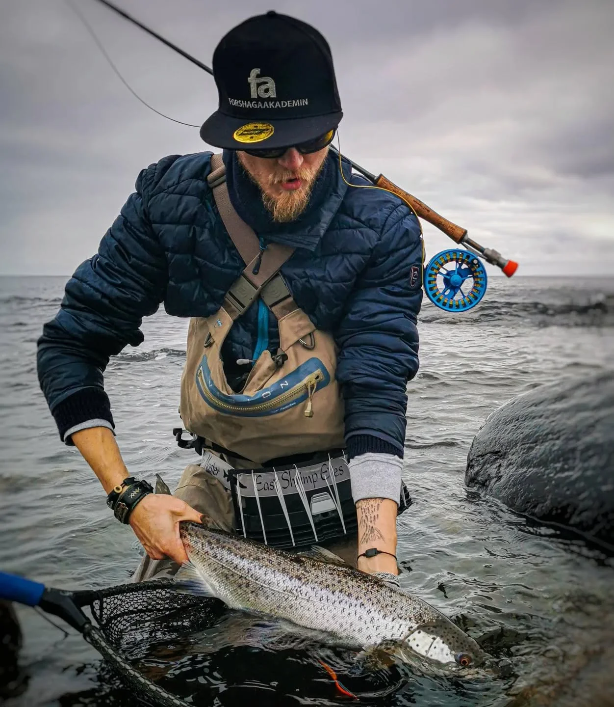 Big seatrout gotland.jpg