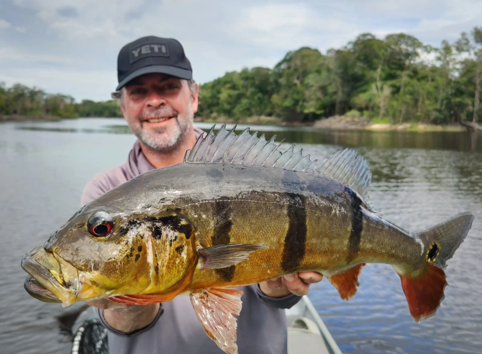 amazonas brasilien fiskeresa