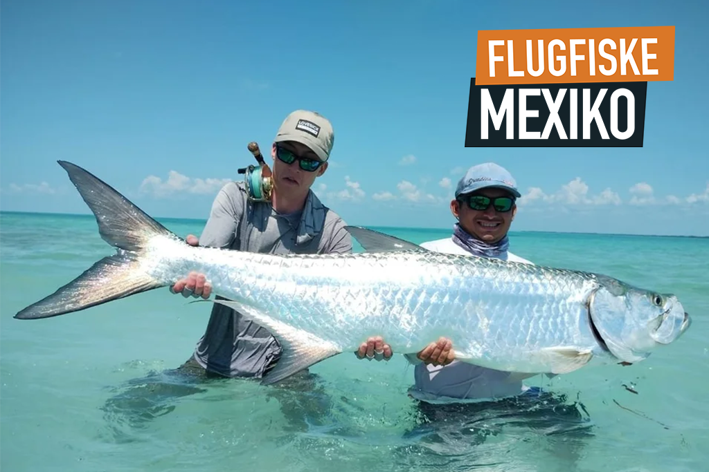 Tropisk fiskeresa Mexiko – fiske efter tarpon, permit och bonefish