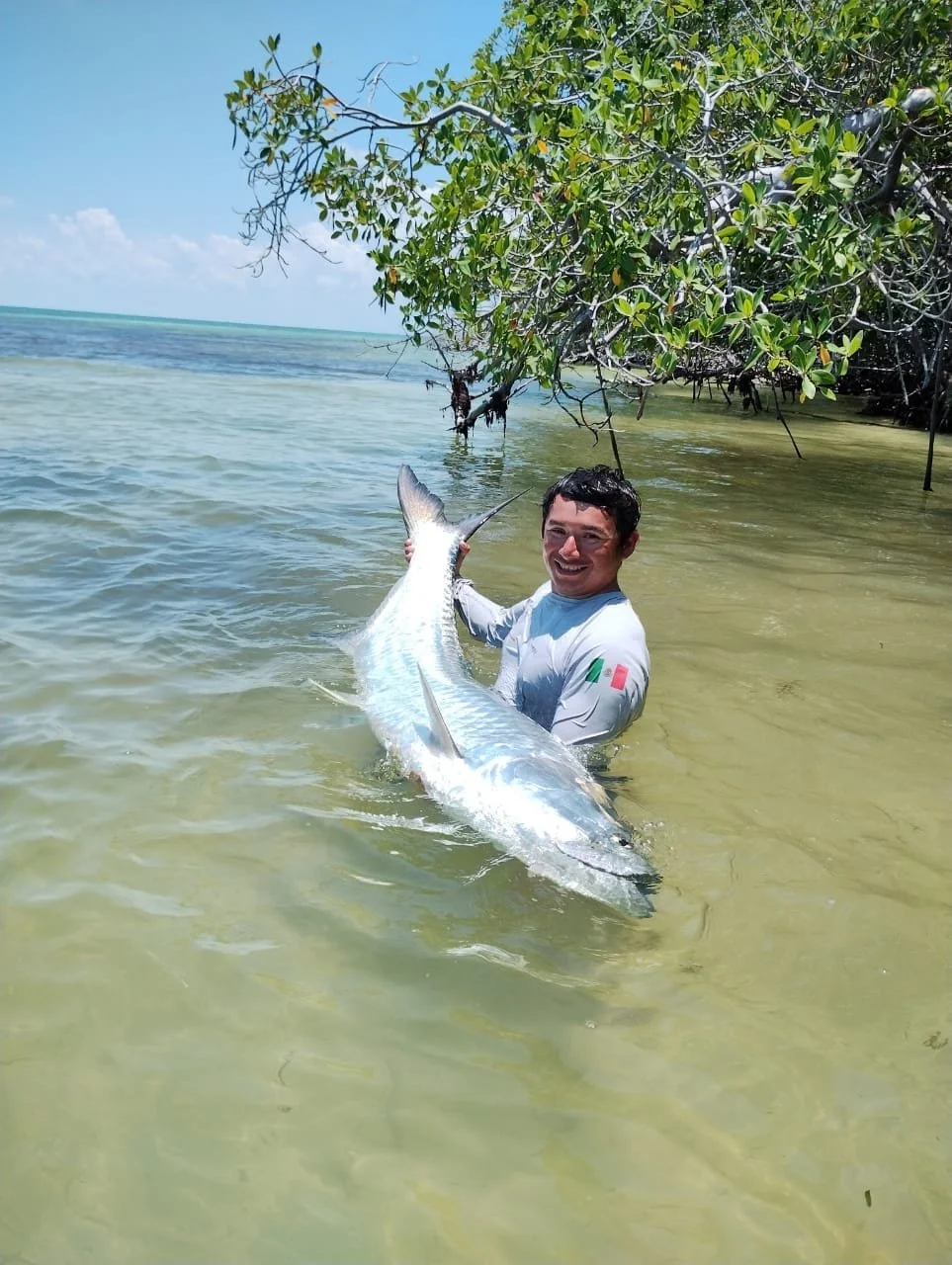 Tarpon mexiko flugfiske.jpg