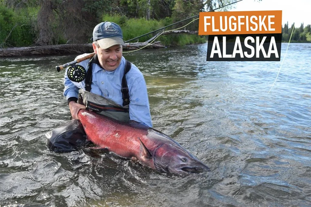 Flugfiskeresa Alaska – lax, öring och regnbåge i vilda floder