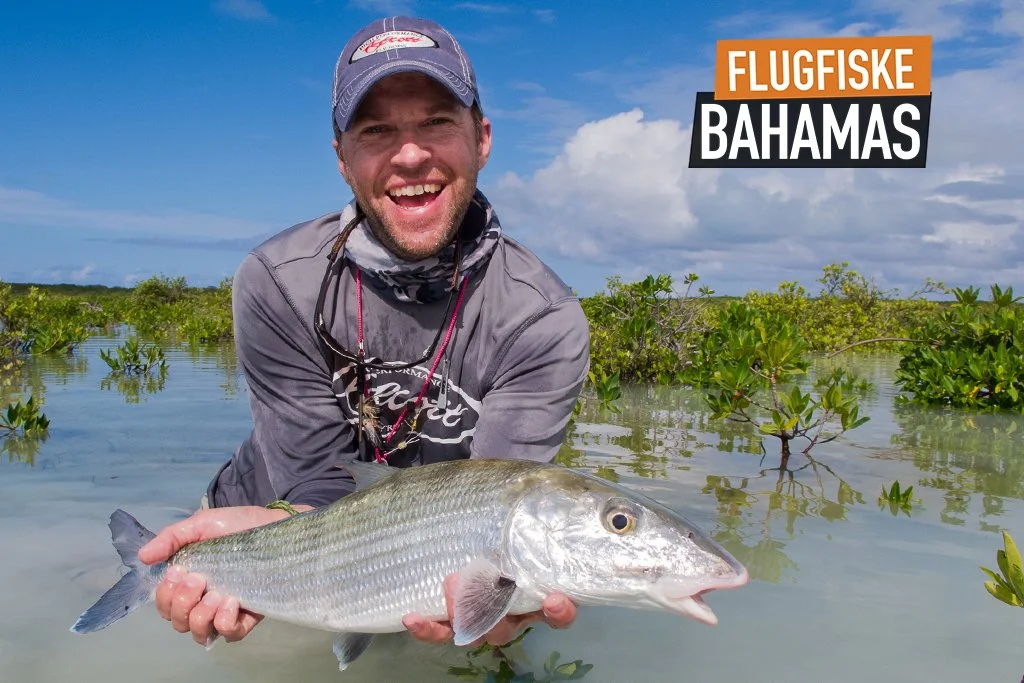 Flugfiskeresa Bahamas – bonefish på flats med lokala guider