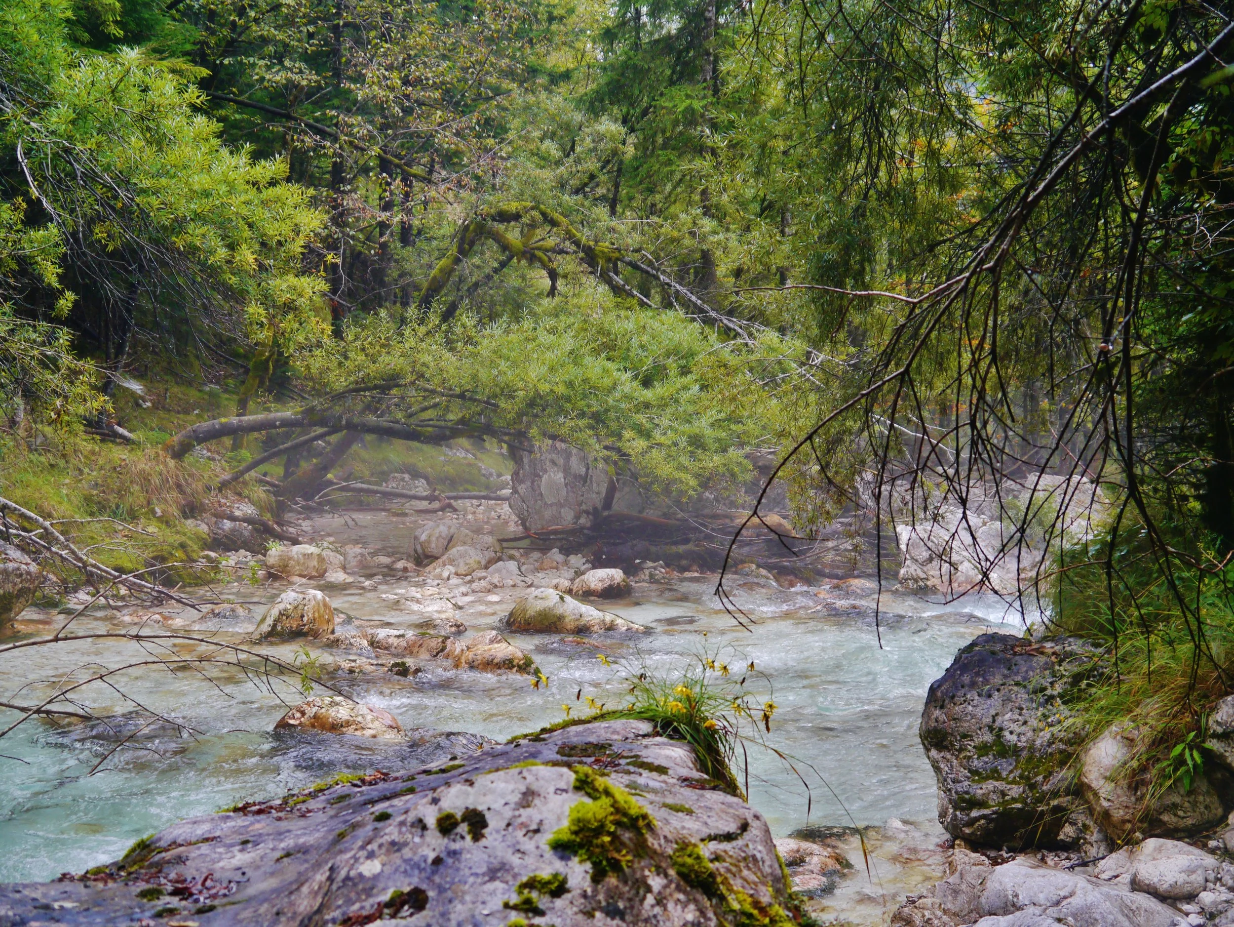 Slovenien fiskeresa.jpeg