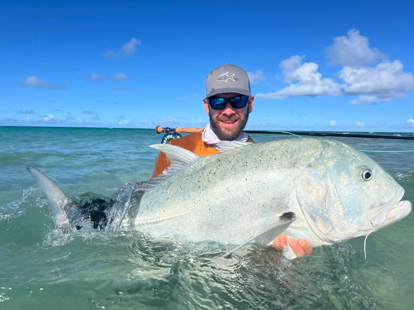 Giant Trevally fångad på fluga på tropiskt fiskeresa.