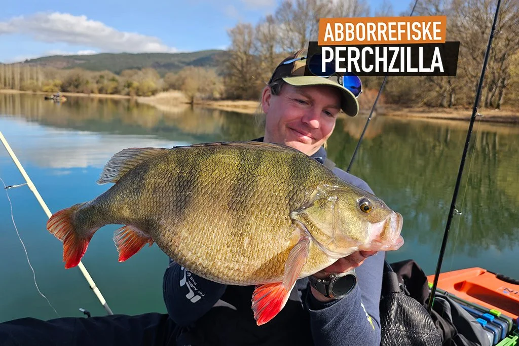 Perchzilla abborrefiske fiskeresa till Spaninen
