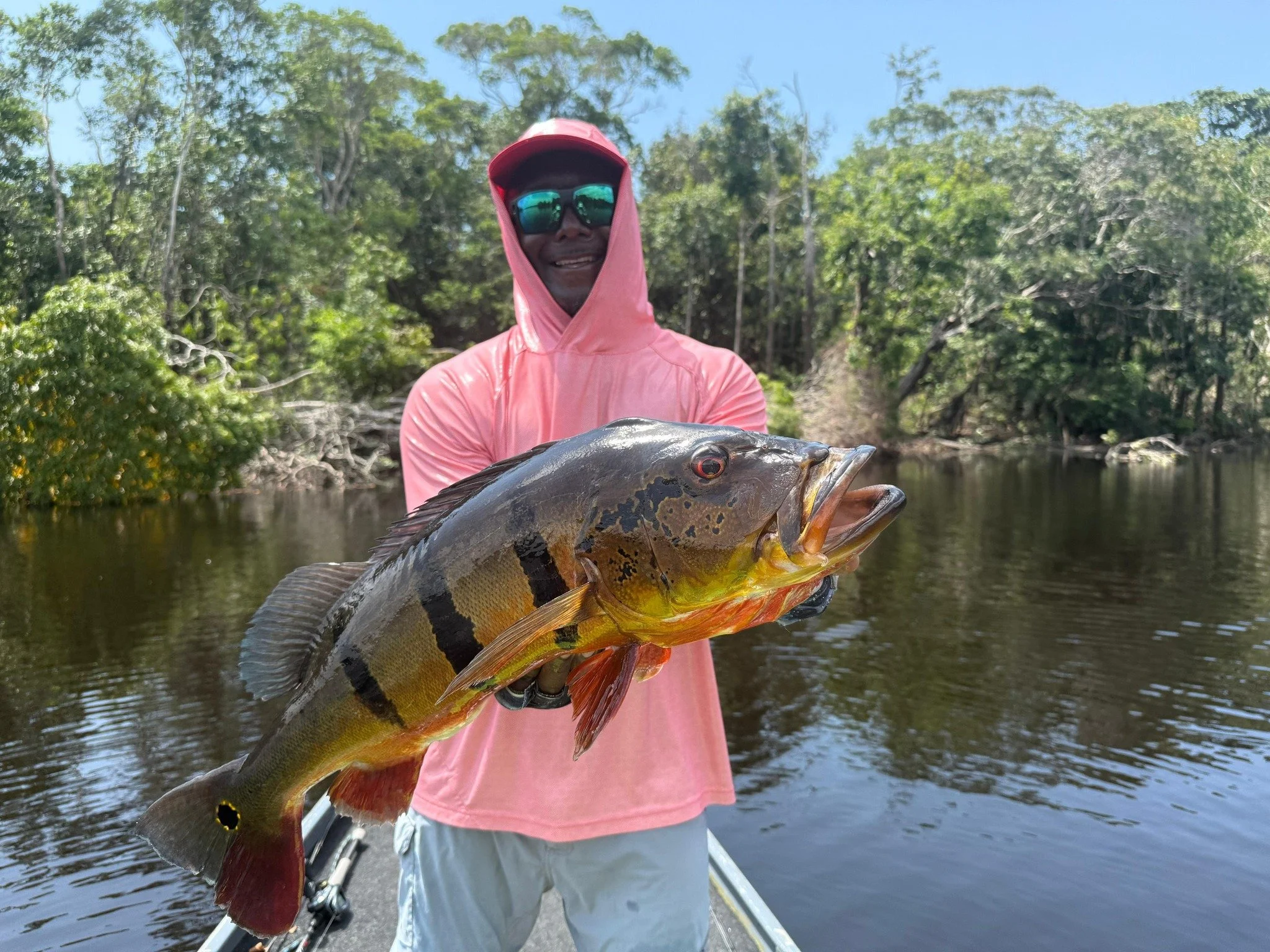 amazonas brasilien fiskeresa