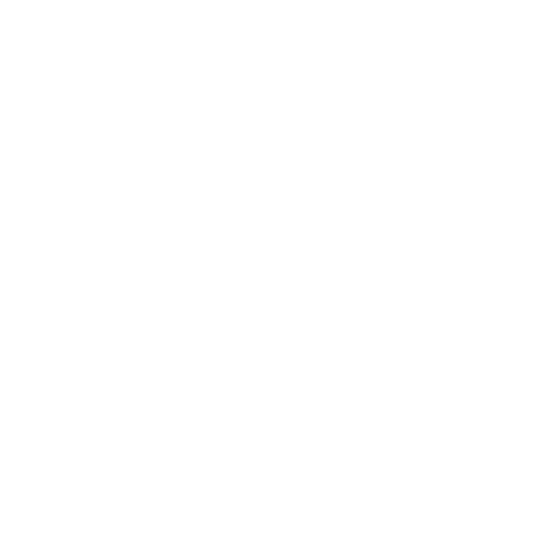 Black and white line drawing of a kidney-shaped object with textured surface, resembling a seed or mineral.