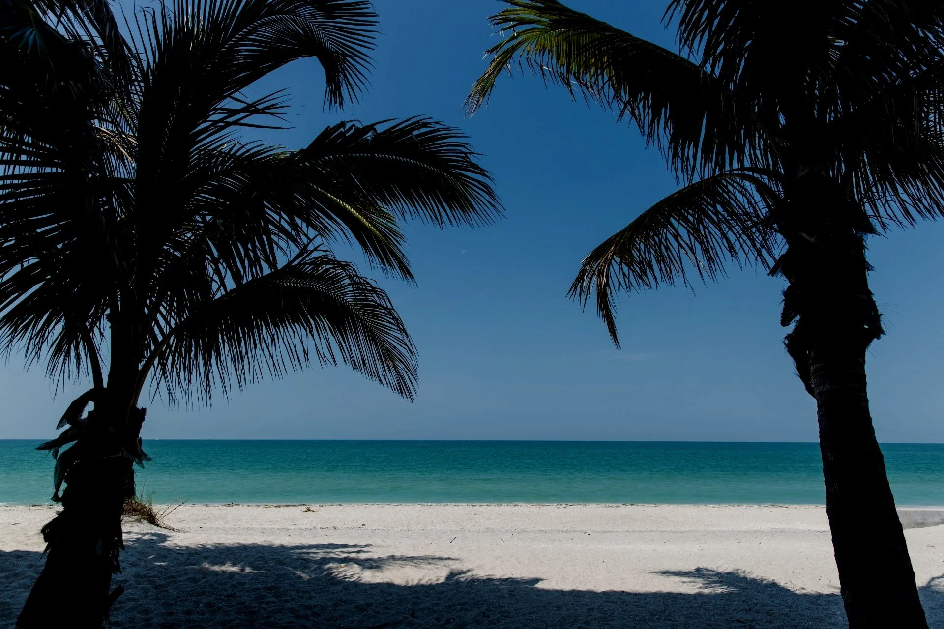 Englewood Beach Live Cam