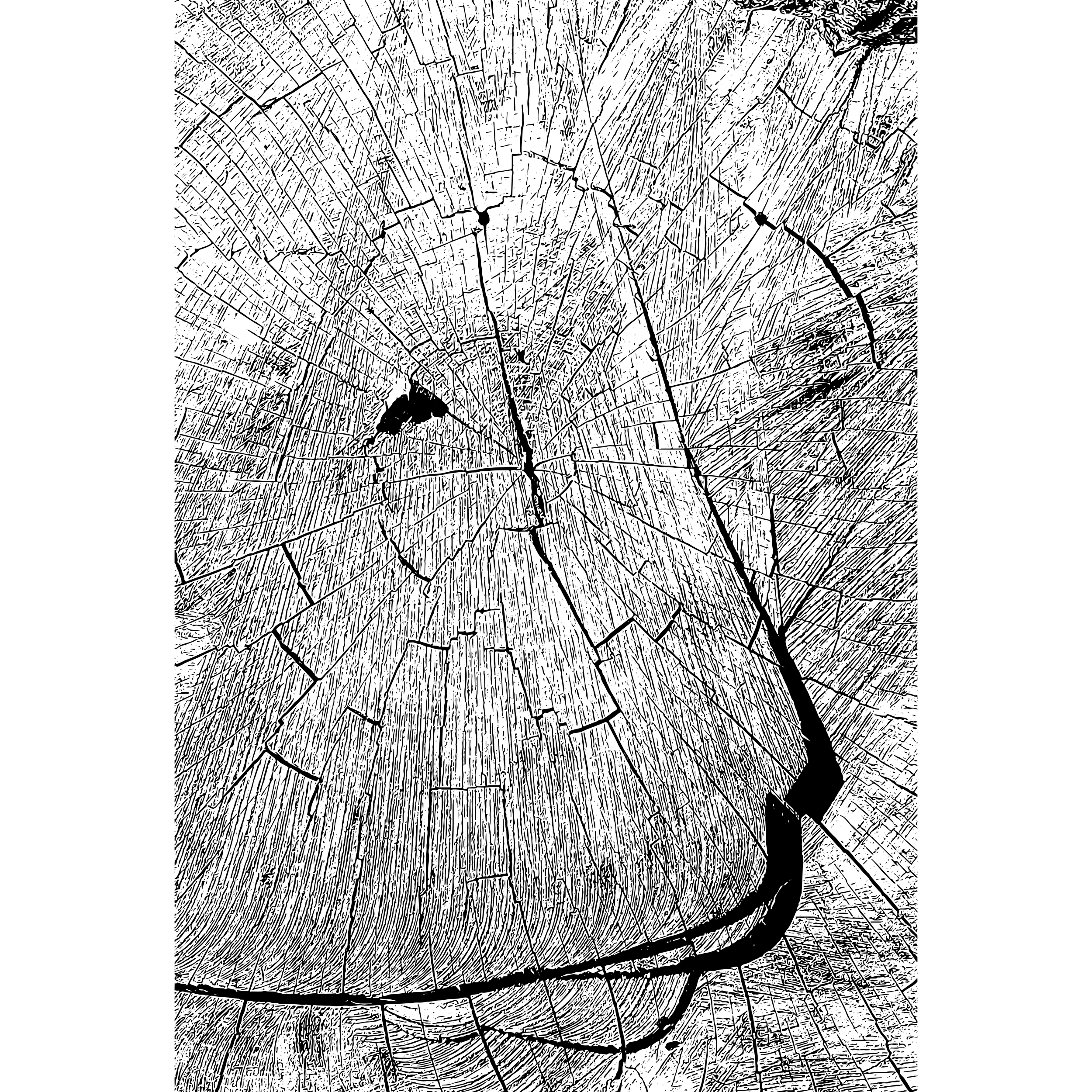 606f5f05-02c1-4e2a-8c05-6124f72d728b.png