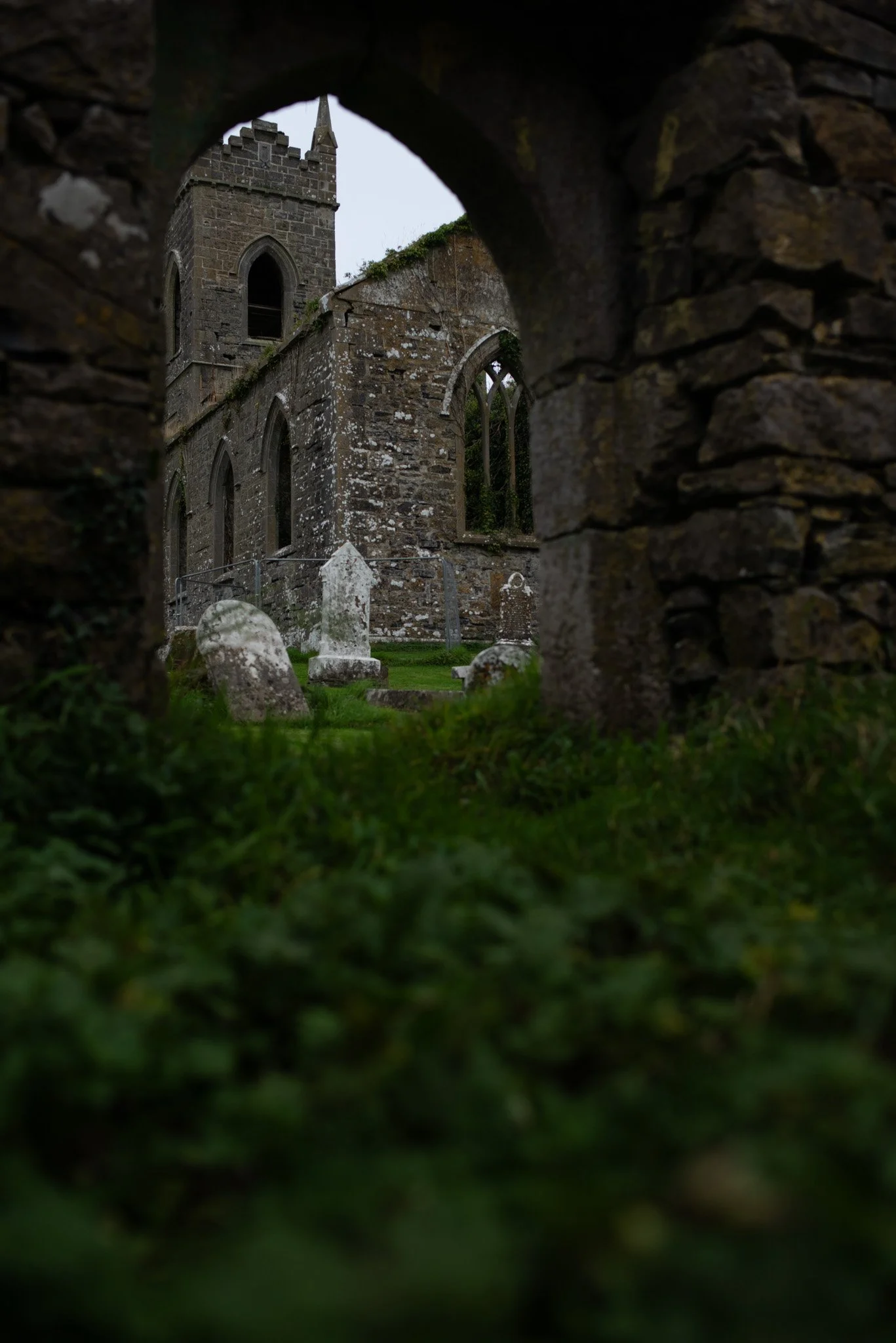 _DSC3556.jpg