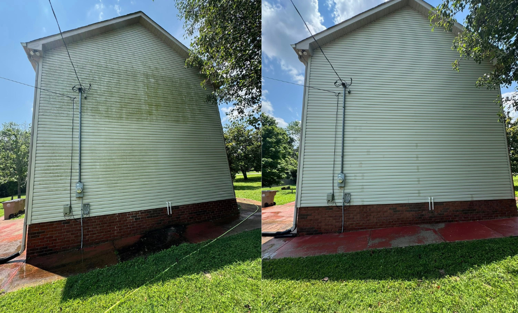 Untitled design (4).png