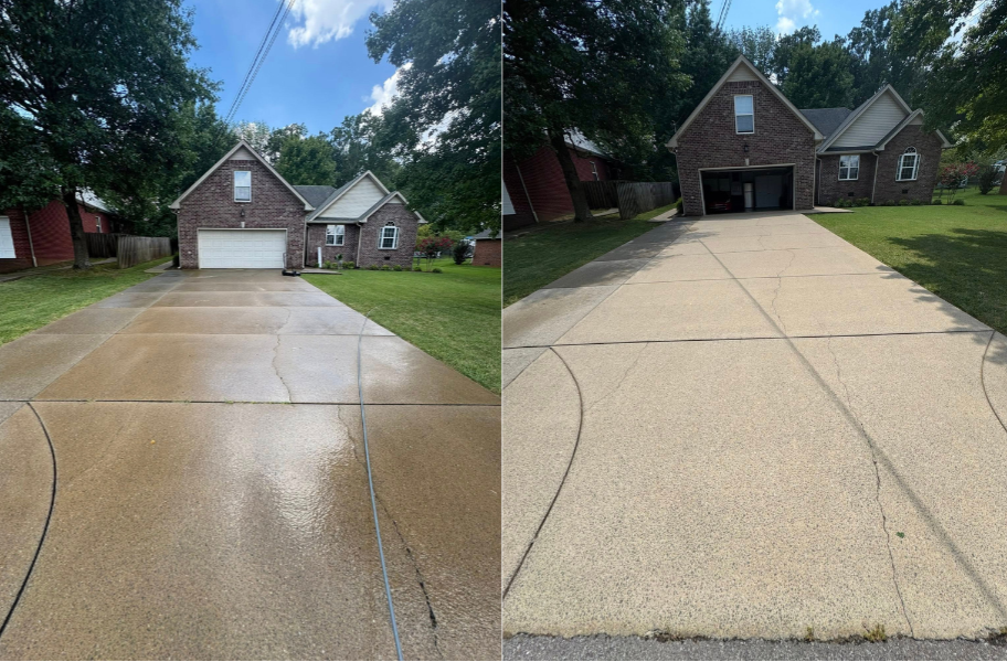 Untitled design (24).png