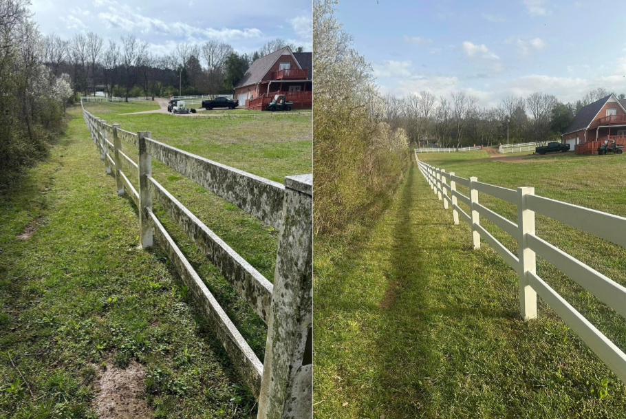 Untitled design (29).png