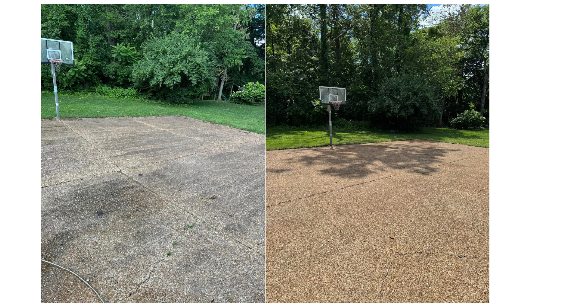 Untitled design (20).png