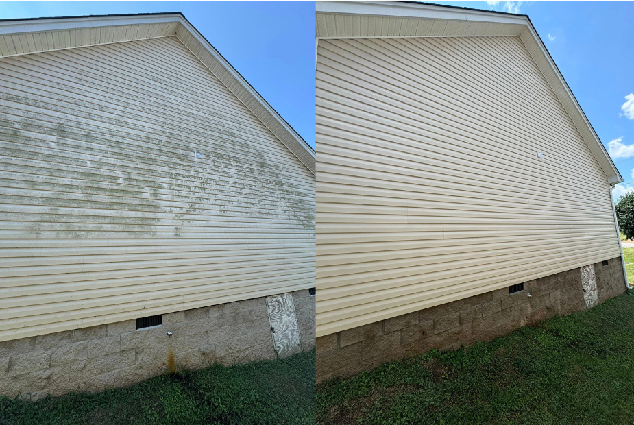 Untitled design (6).png