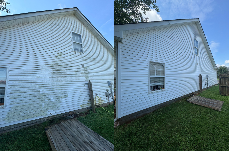 Untitled design (3).png