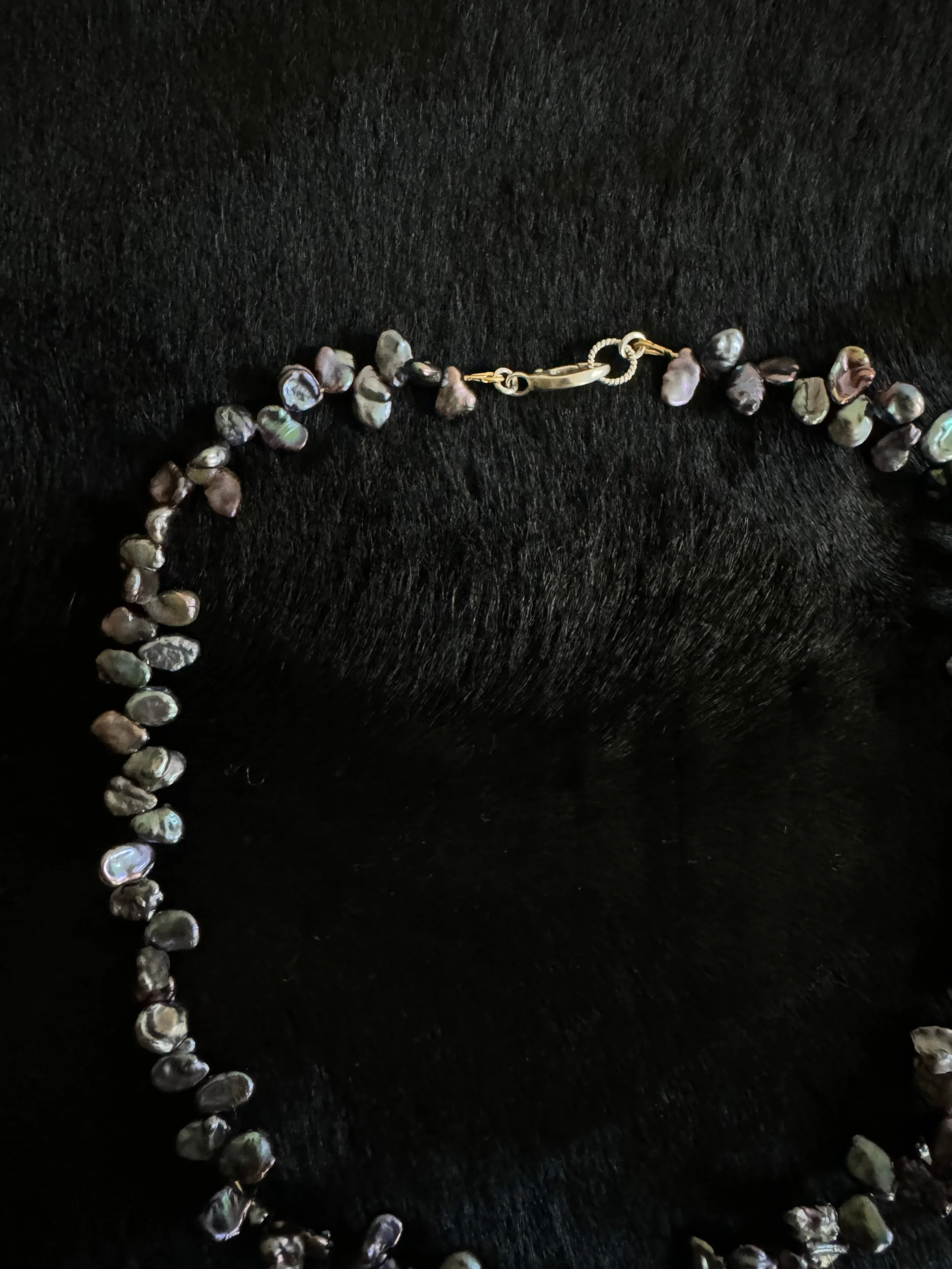 SOLVE - PP closure.jpg