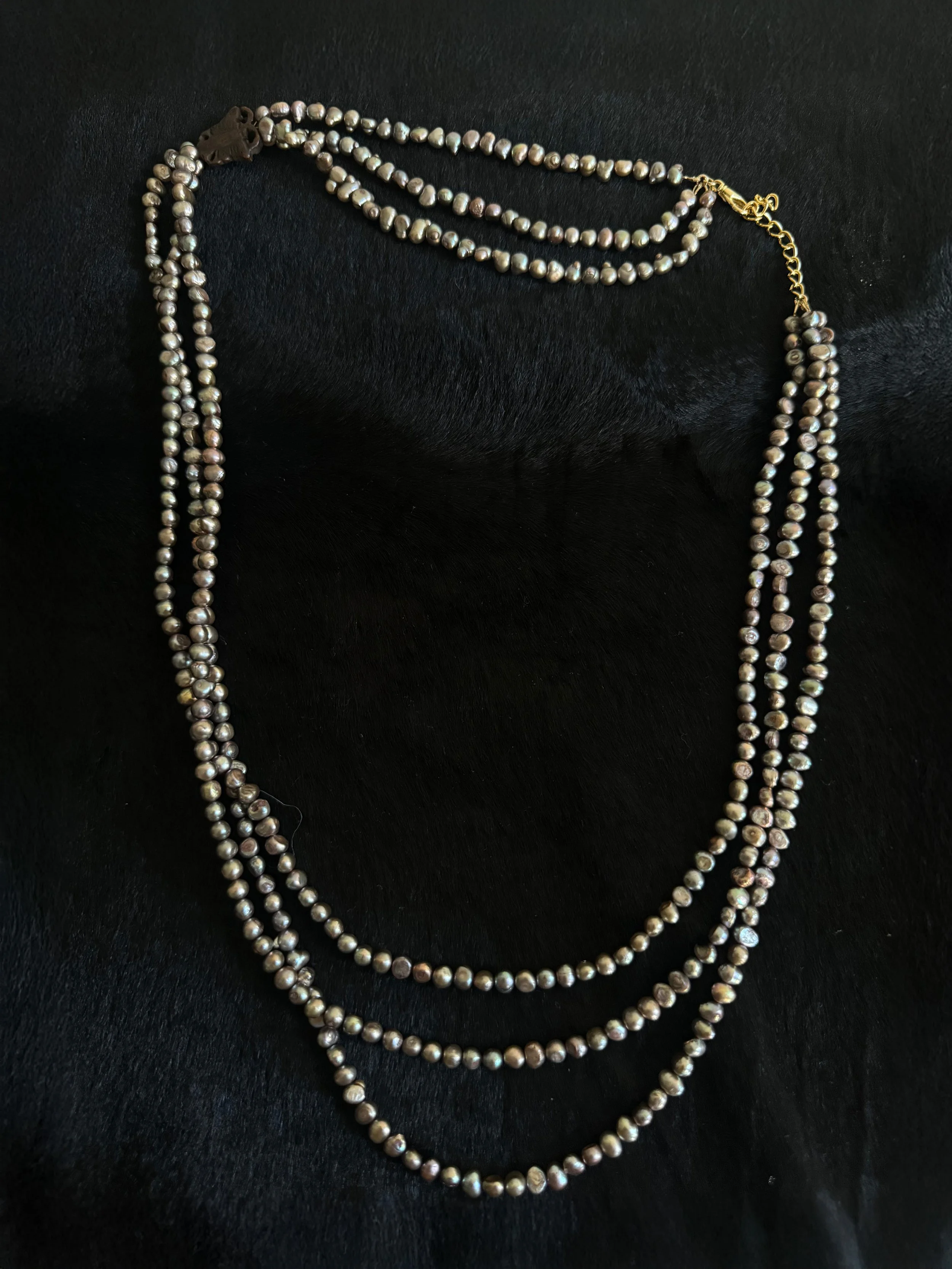 VENUS'S BELT - FULL PHOTO PP.jpg