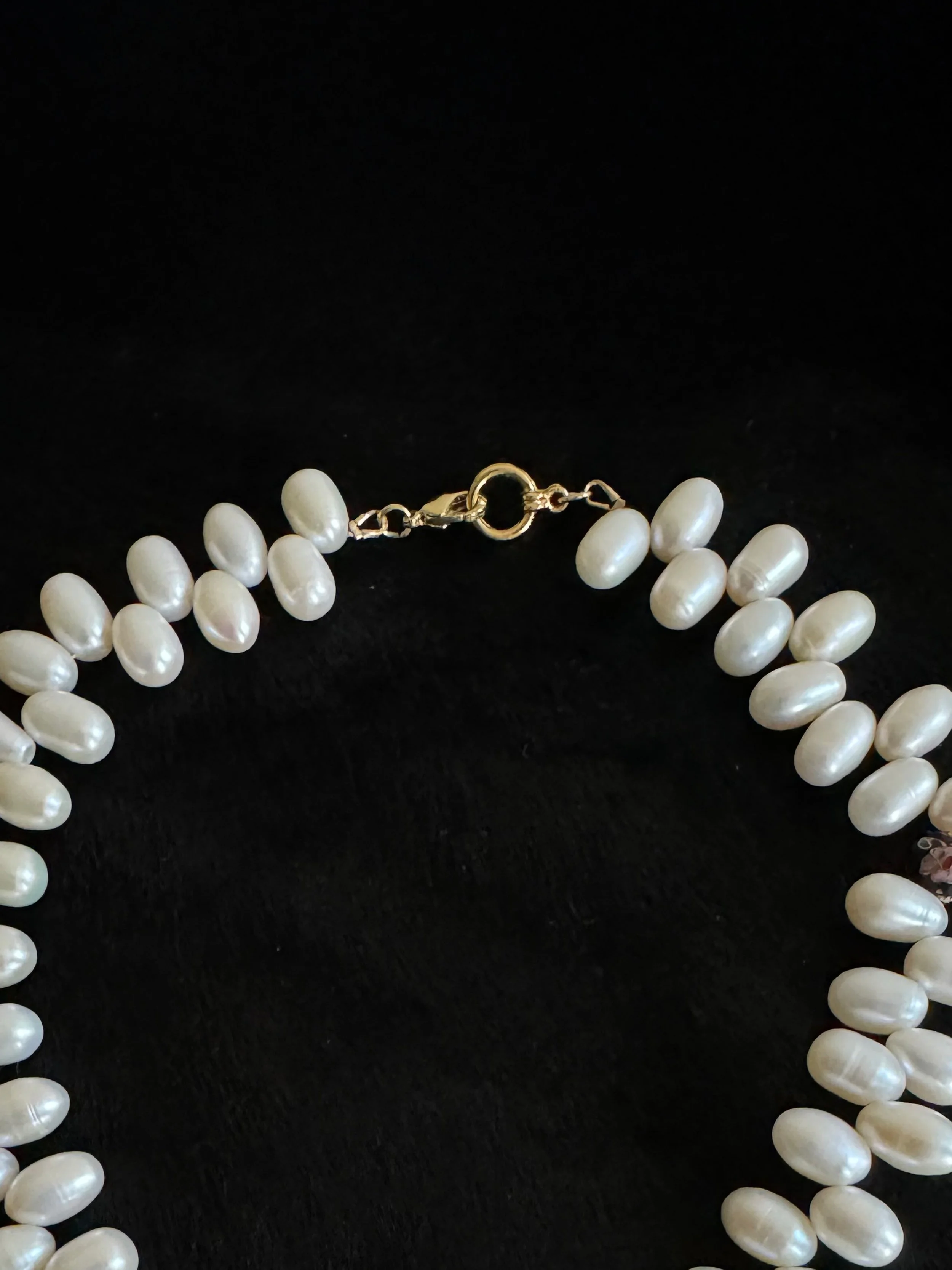 FISH MAN - PP CLOSURE.jpg