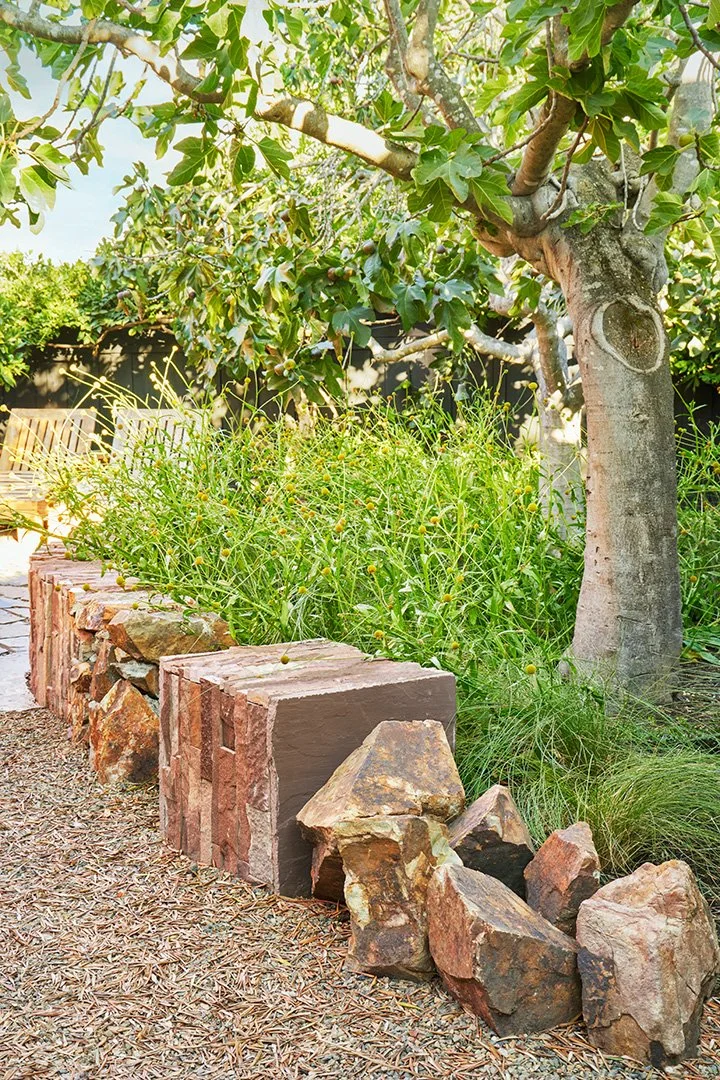 Snaking Walls, Oakland Flats — Dune Hai