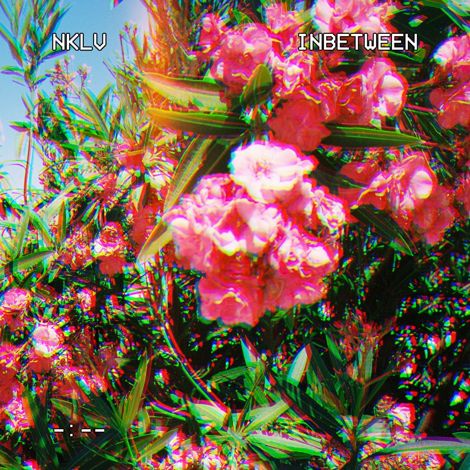 155403-rb135 - FRONTCOVER.jpg