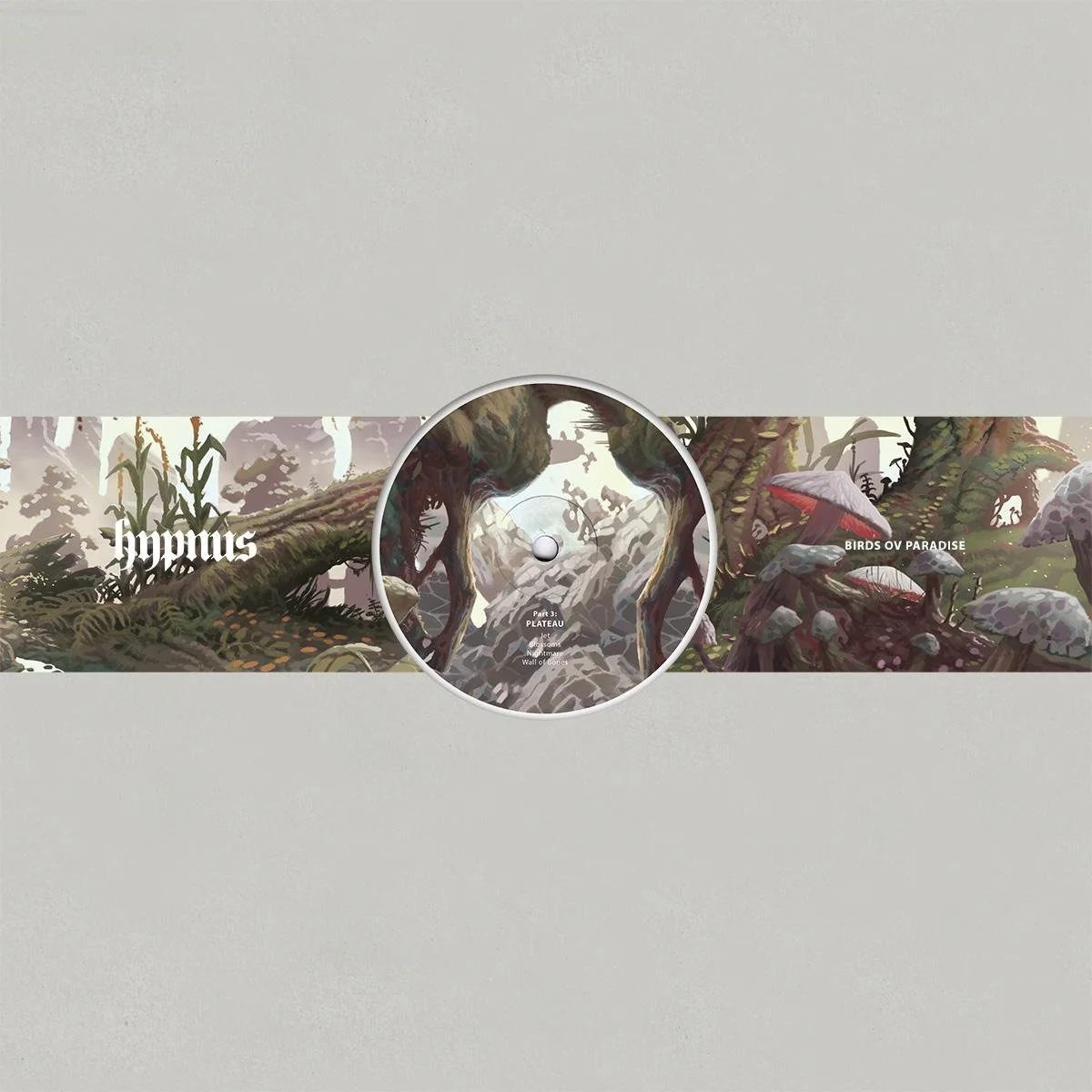 Birds Ov Paradise - Plateau