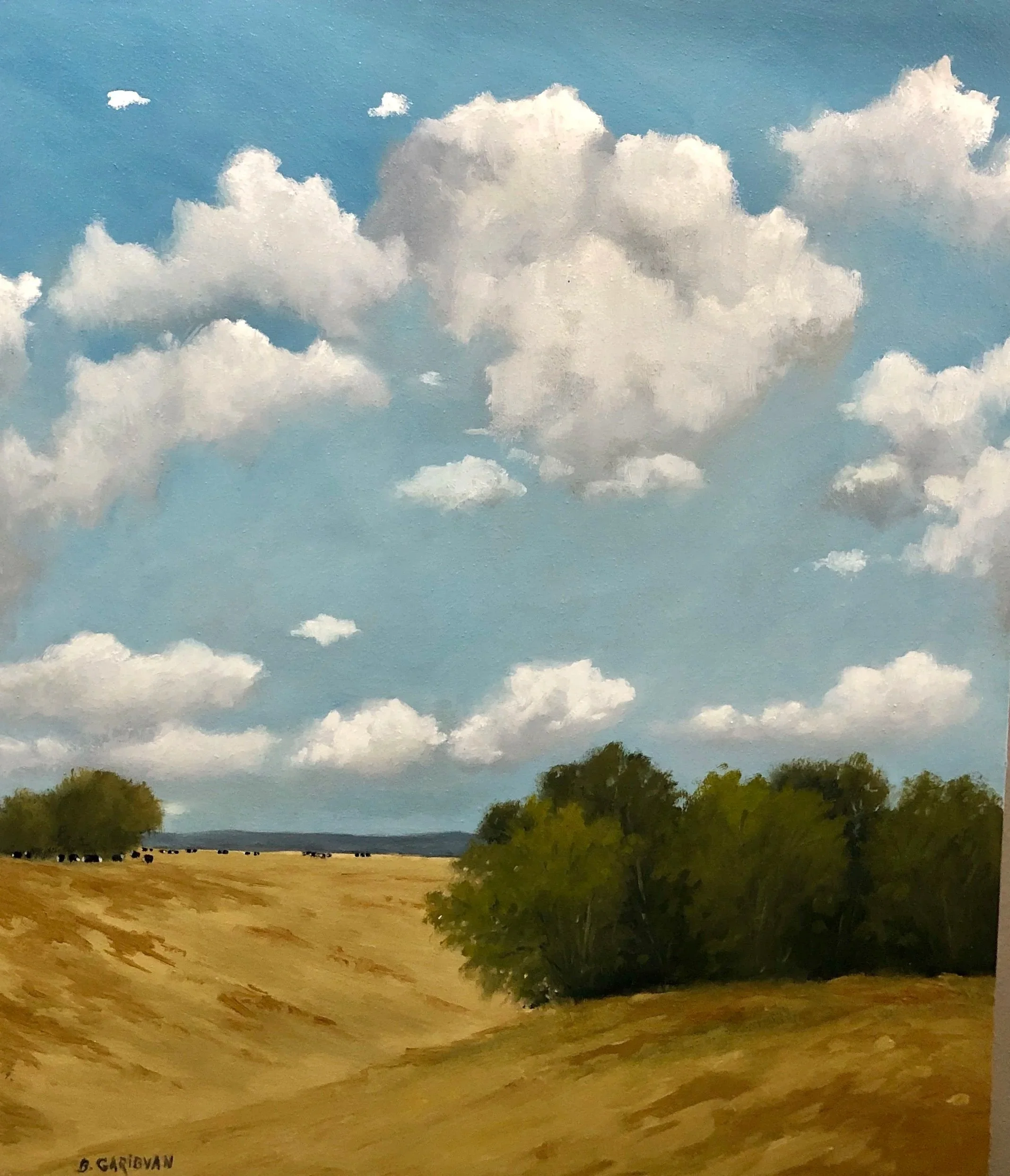 "Rolling Hills"
20x20