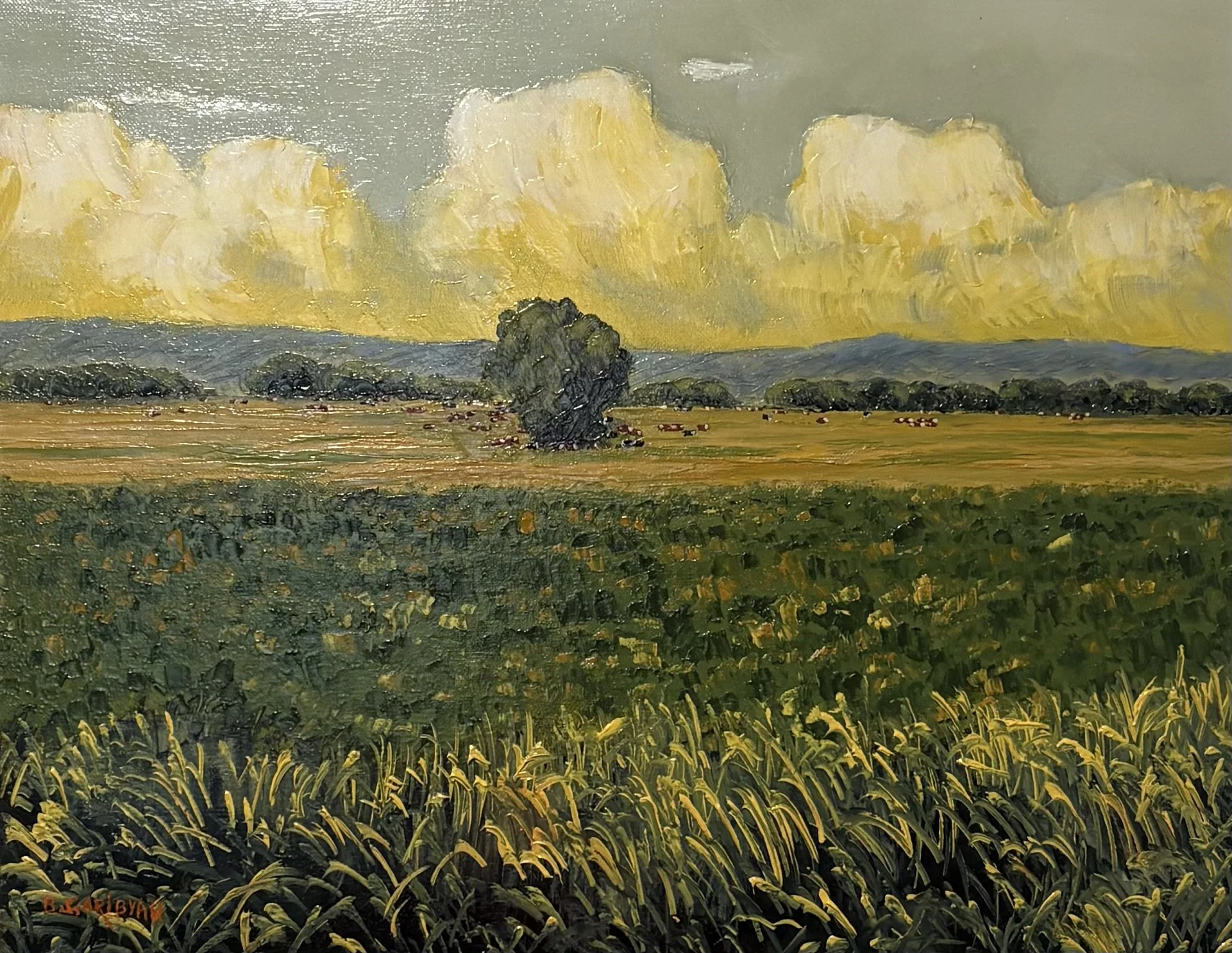 "South Hills Pasture"
16x20
