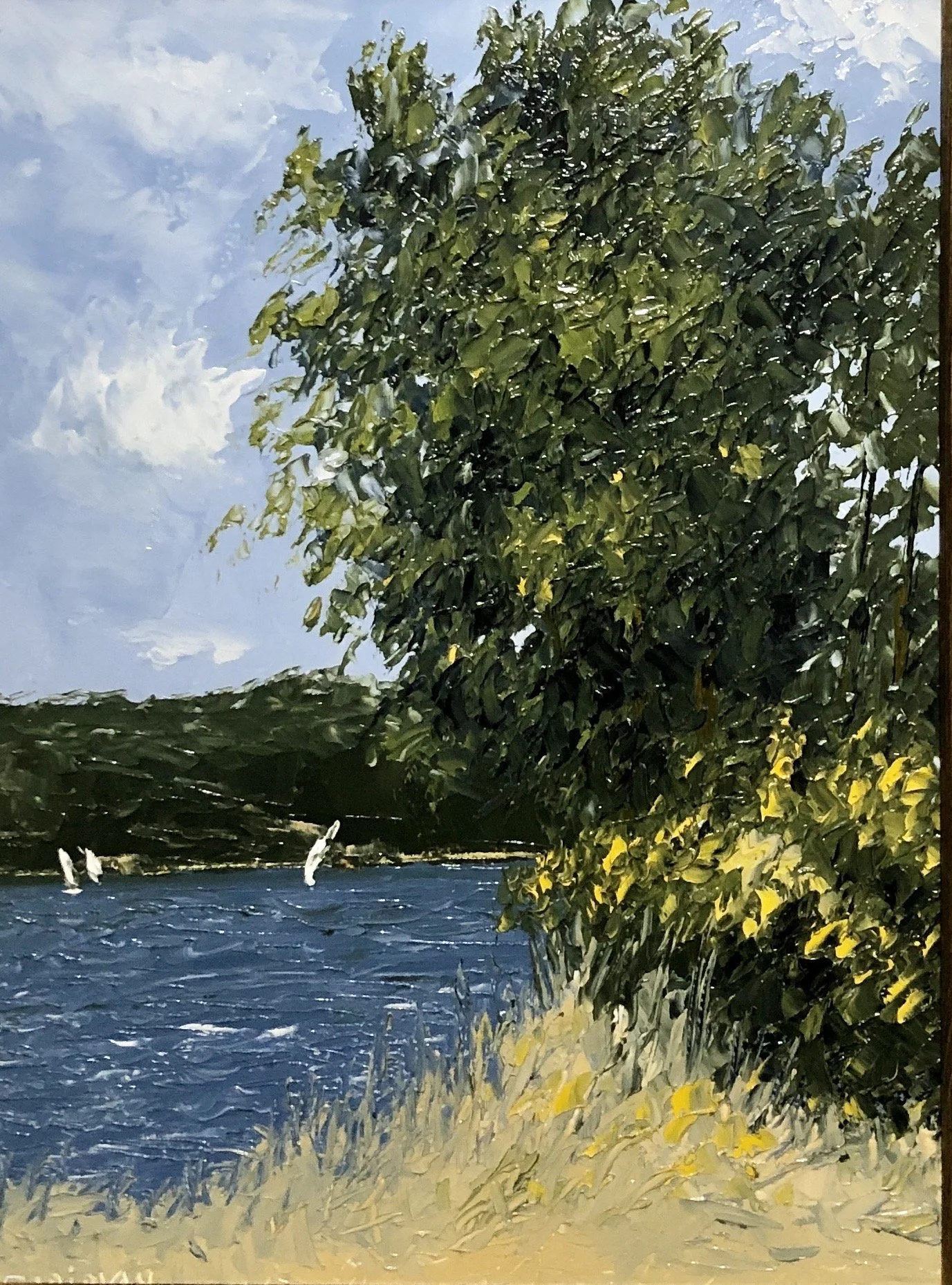 "White Sails on Cascade"
12x9