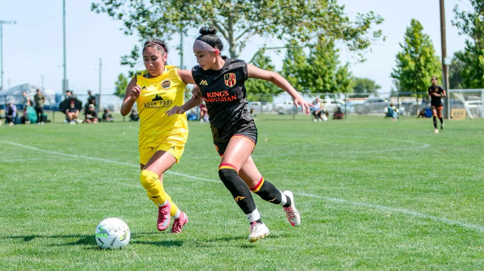 WhatsApp Image 2026-02-20 at 11.13.39 AM (5).jpeg