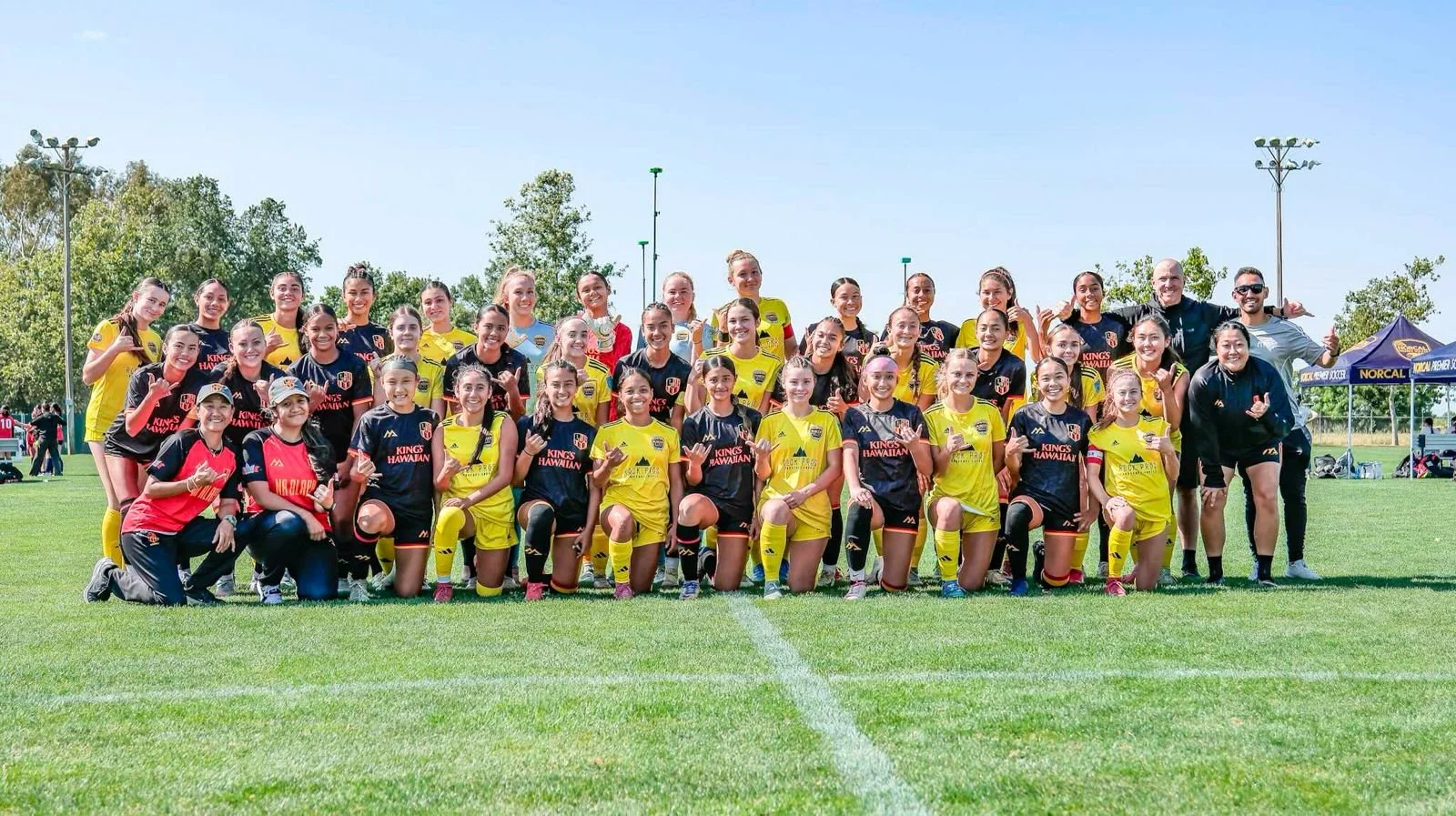 WhatsApp Image 2026-02-20 at 11.13.39 AM.jpeg