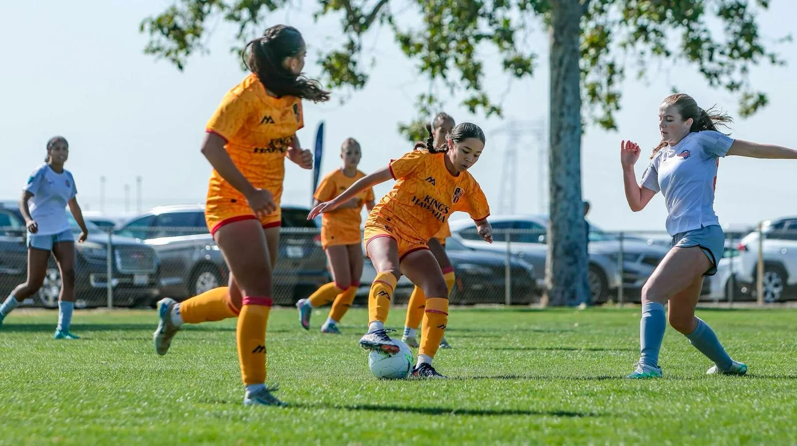 WhatsApp Image 2026-02-20 at 11.13.41 AM (1).jpeg