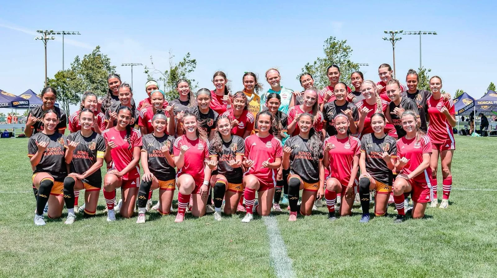 WhatsApp Image 2026-02-20 at 11.13.42 AM (2).jpeg