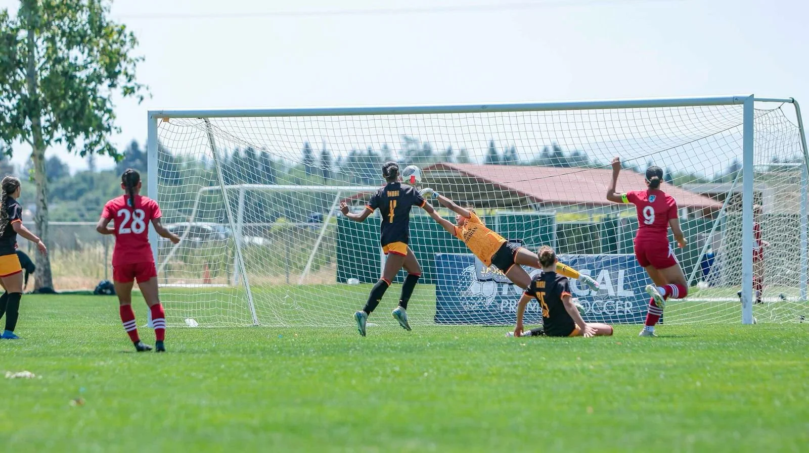 WhatsApp Image 2026-02-20 at 11.13.42 AM (4).jpeg