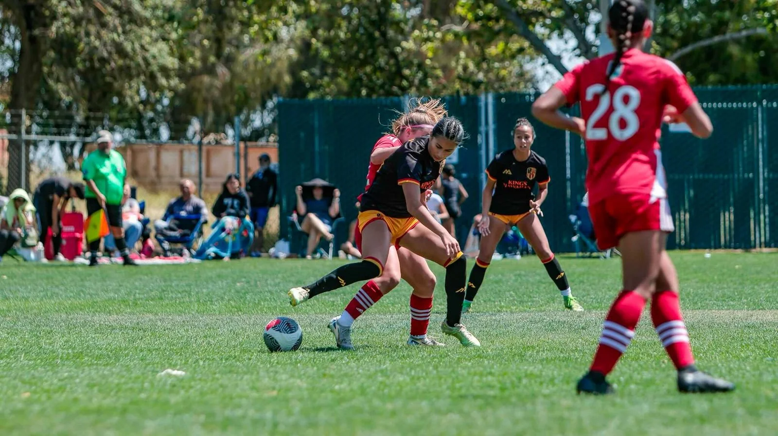 WhatsApp Image 2026-02-20 at 11.13.42 AM (5).jpeg