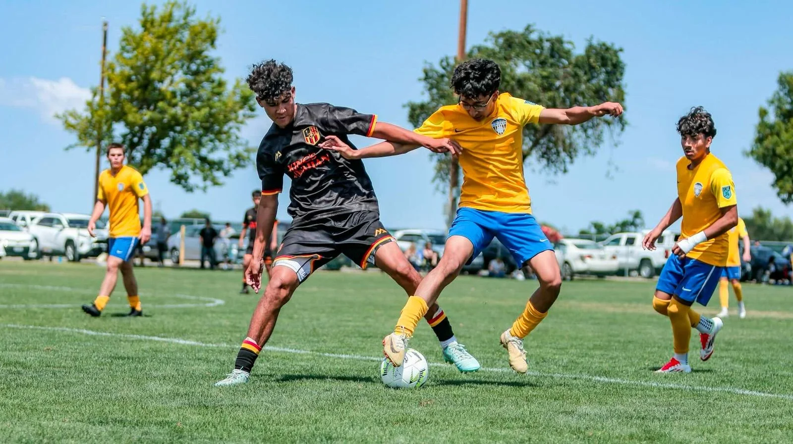 WhatsApp Image 2026-02-20 at 11.13.39 AM (6).jpeg