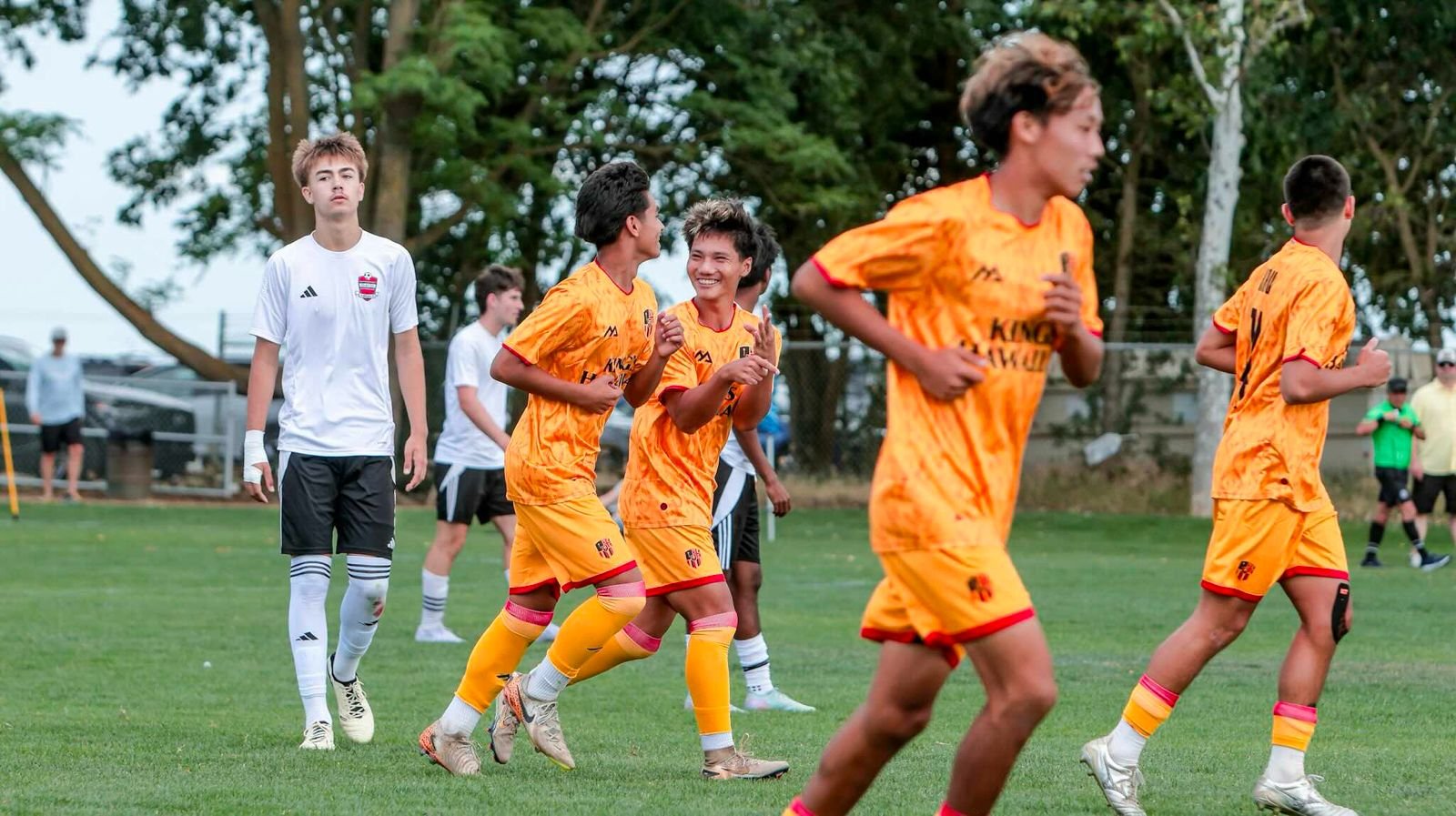 WhatsApp Image 2026-02-20 at 11.13.40 AM (1).jpeg