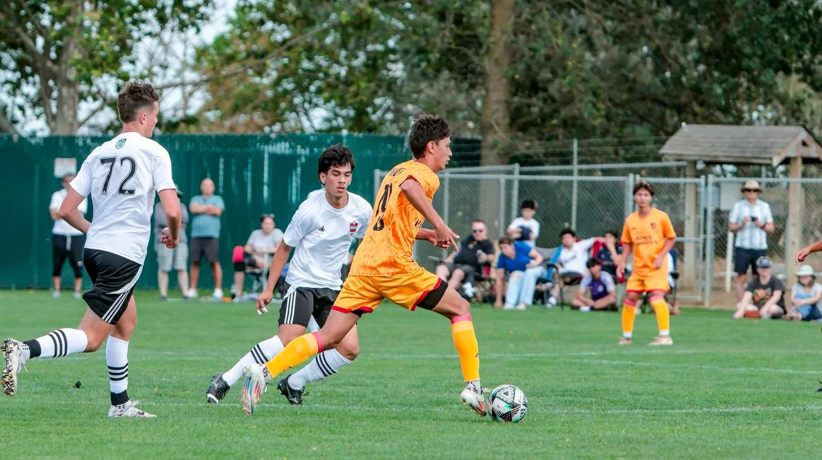 WhatsApp Image 2026-02-20 at 11.13.40 AM (2).jpeg