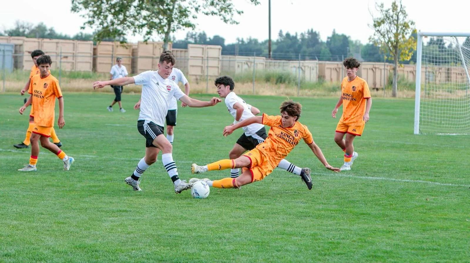 WhatsApp Image 2026-02-20 at 11.13.40 AM (3).jpeg