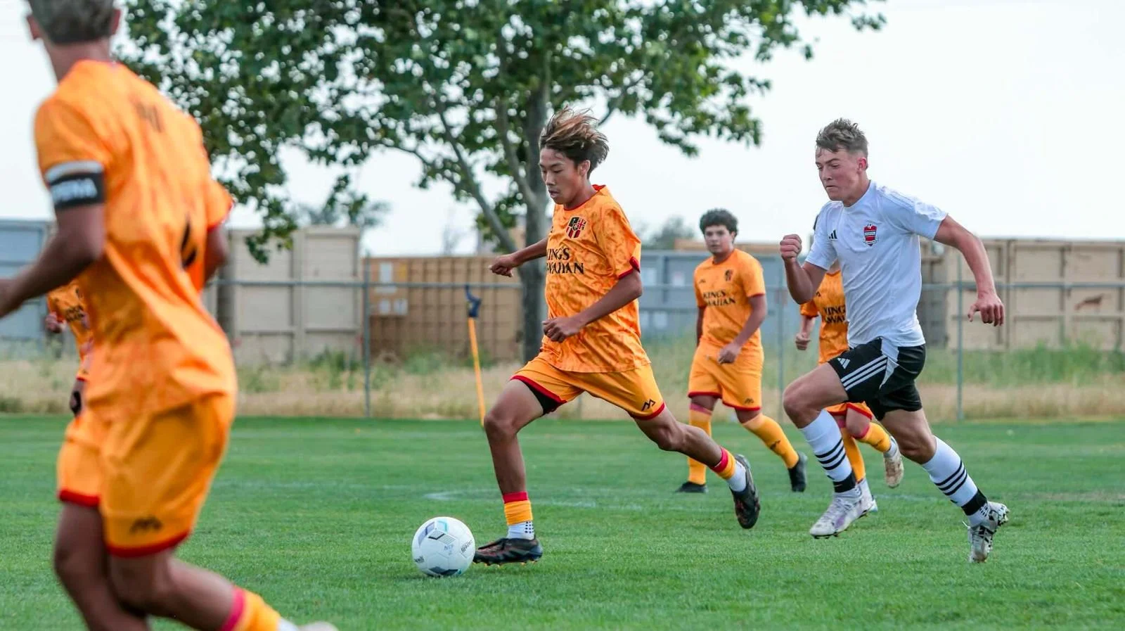 WhatsApp Image 2026-02-20 at 11.13.40 AM (4).jpeg